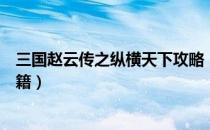 三国赵云传之纵横天下攻略（三国赵云传之纵横天下攻略秘籍）