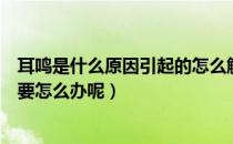 耳鸣是什么原因引起的怎么解决好（耳鸣是什么原因引起的要怎么办呢）