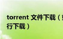 torrent 文件下载（如何利用torrent文件进行下载）