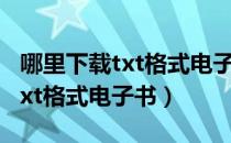 哪里下载txt格式电子书比较好（怎么样下载txt格式电子书）