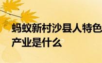 蚂蚁新村沙县人特色产业 沙县人的富民特色产业是什么