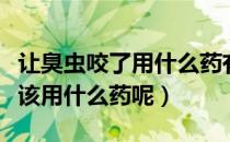 让臭虫咬了用什么药有效（被臭虫咬了怎么办该用什么药呢）