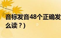 音标发音48个正确发音(英语音标48个发音怎么读？)