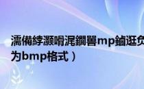 濡備綍灏嗗浘鐗嘼mp鏀逛负jpg鏍煎紡（如何将jpg图片变为bmp格式）