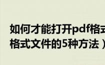 如何才能打开pdf格式的文件（怎么打开PDF格式文件的5种方法）