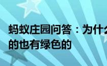 蚂蚁庄园问答：为什么煮出来的绿豆汤有红色的也有绿色的