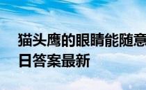 猫头鹰的眼睛能随意转动吗 蚂蚁庄园1月18日答案最新