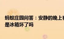 蚂蚁庄园问答：安静的晚上有时会听到冰箱嗡嗡作响的声音是冰箱坏了吗