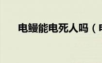 电鳗能电死人吗（电鳗能不能电死人）