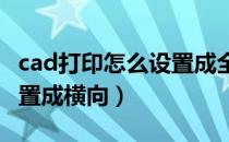 cad打印怎么设置成全黑的（CAD打印怎么设置成横向）