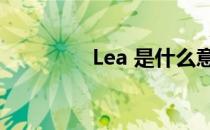 Lea 是什么意思 汇编里的