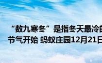 “数九寒冬”是指冬天最冷的那些日子，“数九”是从哪个节气开始 蚂蚁庄园12月21日答案最新