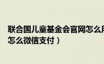 联合国儿童基金会官网怎么用微信支付（联合国儿童基金会怎么微信支付）