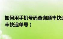 如何用手机号码查询顺丰快递单号（如何使用手机号查询顺丰快递单号）