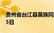 贵州省台江县苗族同胞 姊妹节蚂蚁新村4月15日