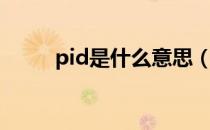 pid是什么意思（pid全称是什么）