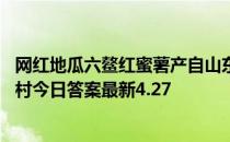 网红地瓜六鳌红蜜薯产自山东梁山县还是福建漳浦县 蚂蚁新村今日答案最新4.27