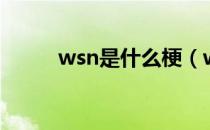 wsn是什么梗（wsn是指什么梗）