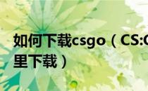 如何下载csgo（CS:GO怎么下载？csgo去哪里下载）