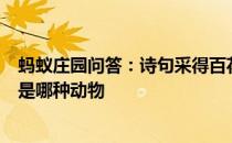 蚂蚁庄园问答：诗句采得百花成蜜后为谁辛苦为谁甜赞美的是哪种动物