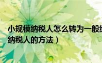 小规模纳税人怎么转为一般纳税人（小规模纳税人转为一般纳税人的方法）