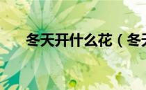 冬天开什么花（冬天开什么花有哪些）