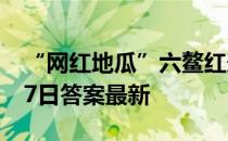 “网红地瓜”六鳌红蜜薯产自 蚂蚁新村4月27日答案最新