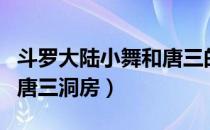 斗罗大陆小舞和唐三的壁纸（斗罗大陆小舞和唐三洞房）