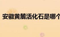 安徽黄麓活化石是哪个 活化石蚂蚁新村4.26