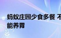 蚂蚁庄园少食多餐 不少人习惯少食多餐认为能养胃