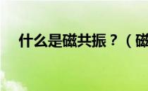 什么是磁共振？（磁共振检查是什么？）