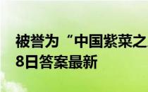 被誉为“中国紫菜之乡”的是 蚂蚁新村4月28日答案最新