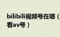 bilibili视频号在哪（bilibili哔哩哔哩在哪里看av号）