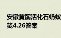 安徽黄麓活化石蚂蚁新村 是造纸术还是粉蜡笺4.26答案