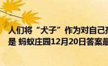 人们将“犬子”作为对自己孩子的谦称，其实“犬子”本来是 蚂蚁庄园12月20日答案最新