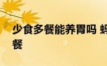 少食多餐能养胃吗 蚂蚁庄园今日答案少食多餐