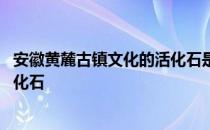 安徽黄麓古镇文化的活化石是粉蜡笺吗 蚂蚁新村今日答案活化石