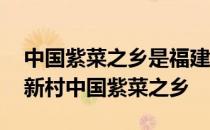 中国紫菜之乡是福建省霞浦县还是沙县 蚂蚁新村中国紫菜之乡