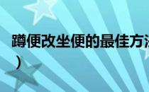 蹲便改坐便的最佳方法（蹲便改坐便简便方法）