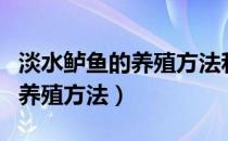 淡水鲈鱼的养殖方法和注意事项（淡水鲈鱼的养殖方法）