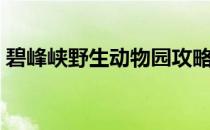 碧峰峡野生动物园攻略（碧峰峡野生动物园）