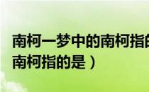 南柯一梦中的南柯指的是什么（南柯一梦中的南柯指的是）