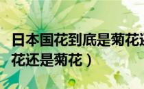 日本国花到底是菊花还是樱花（日本国花是樱花还是菊花）