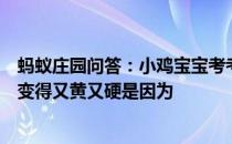 蚂蚁庄园问答：小鸡宝宝考考你有些毛巾用了一段时间后会变得又黄又硬是因为