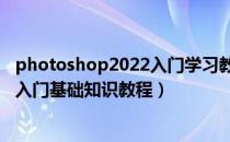 photoshop2022入门学习教程下载（Photoshop软件新手入门基础知识教程）