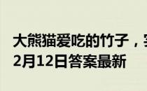 大熊猫爱吃的竹子，实际上是什么 蚂蚁庄园12月12日答案最新