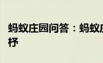 蚂蚁庄园问答：蚂蚁庄园今日答案子不学断机杼