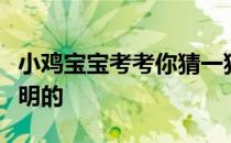 小鸡宝宝考考你猜一猜：棉花糖机是什么人发明的