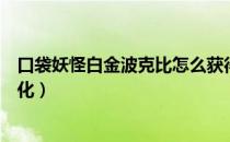 口袋妖怪白金波克比怎么获得（口袋妖怪白金波克比怎么进化）