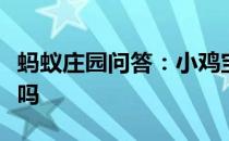 蚂蚁庄园问答：小鸡宝宝考考你眼睛也会中风吗